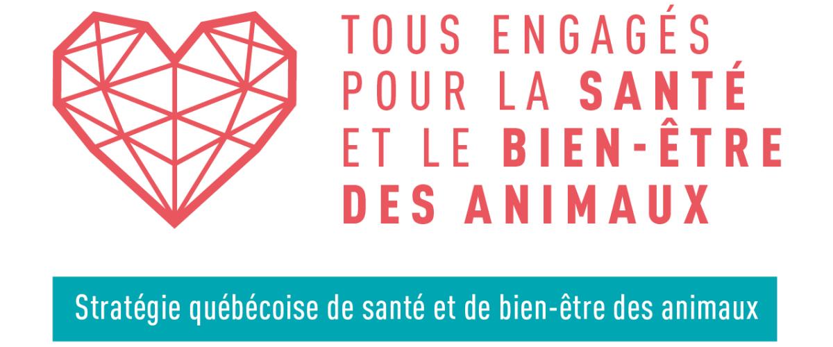 Logo SQBSEA