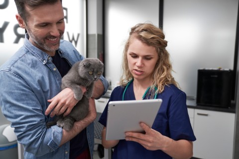 Client chat et vet avec tablette