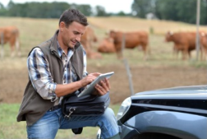 A man taking notes in front of a field, with cows